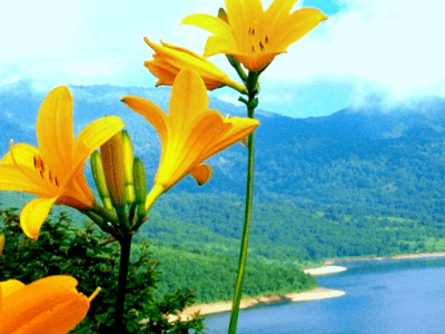 Ajahn Chah Teachings on Nature Ajahn Chah Teachings on Nature