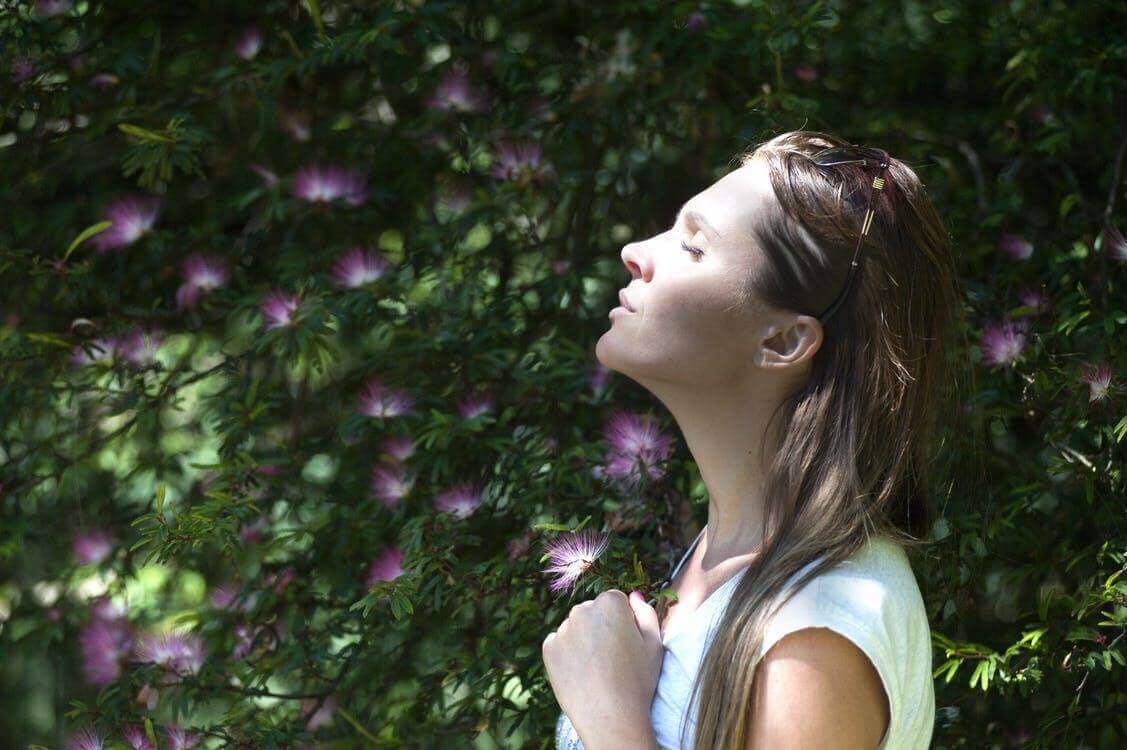 Additional Ways to Honor Spring Additional Ways to Honor Spring