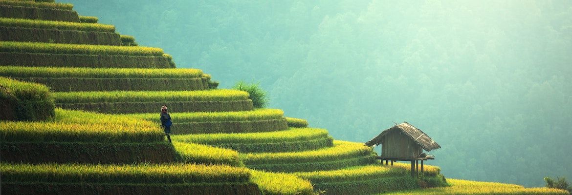 Practicing The Four Foundations of Mindfulness