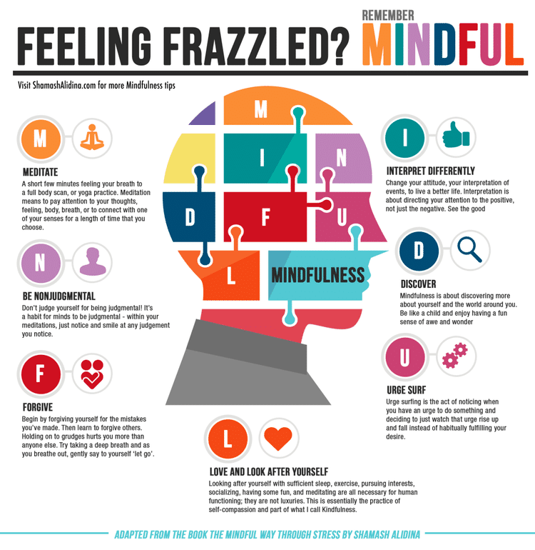 Introducing: Free Audio Transcripts - Feeling Frazzled? Introducing Free Audio Transcripts Feeling Frazzled