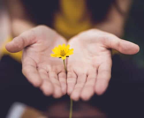 Jack Kornfield Principles of Forgiveness