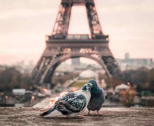 Guided Meditation on Love and Forgiveness