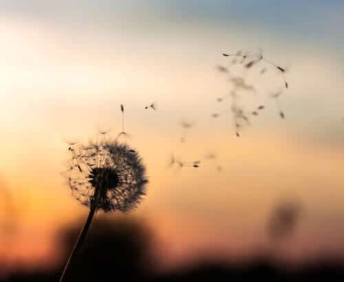 Breathe Away Anxious Thoughts Breathe Away Anxious Thoughts