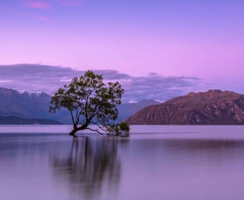 Visualizing the Calm Mindfulness Exercises for Relaxation
