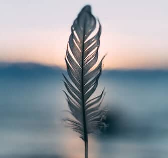 5 Meditations for Sleep