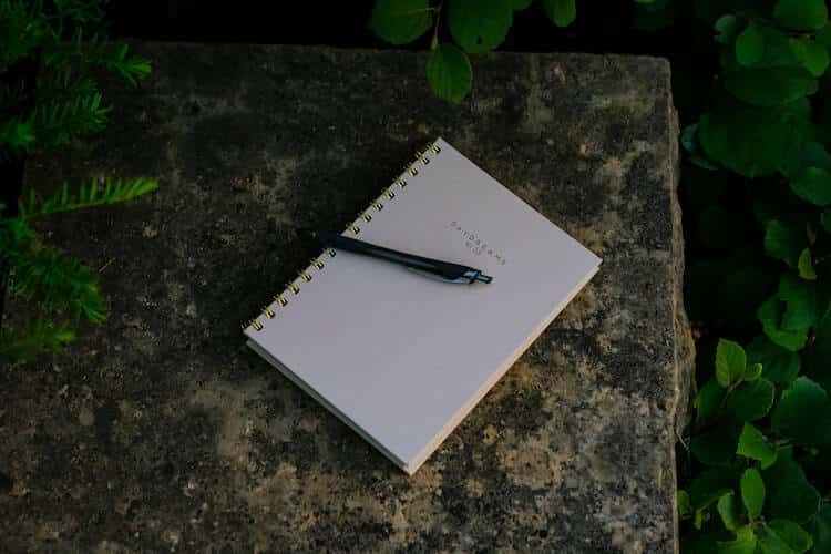 How to Practice Mindfulness in Nature 2 How to Practice Mindfulness in Nature