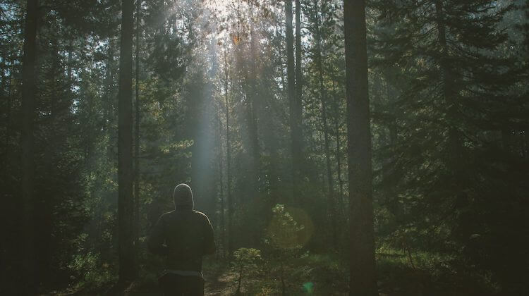 Mindfulness Practices for Finding Peace in a Frantic World (1) 6 Mindfulness Practices for Finding Peace in a Frantic World β Mindfulness Practices For Finding Peace In Frantic World