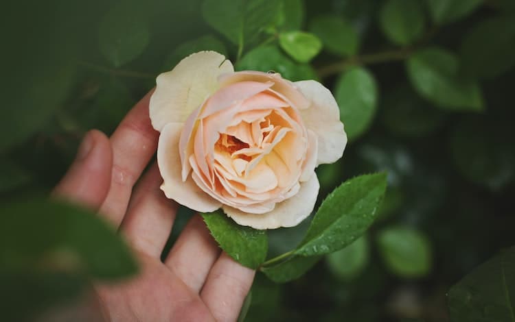 How to Practice Mindfulness of Death and Why It’s Important — How To Practice Mindfulness Of Death With Care