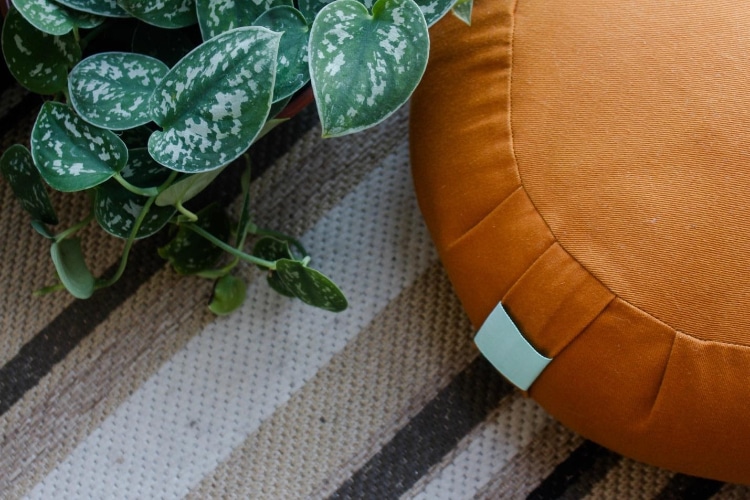 How to Use Mindfulness Scripts as a Therapist
