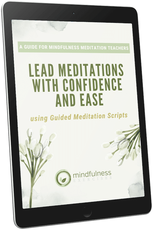 A Guide for Mindfulness Meditation Teachers — Guide For Teachers Ebook