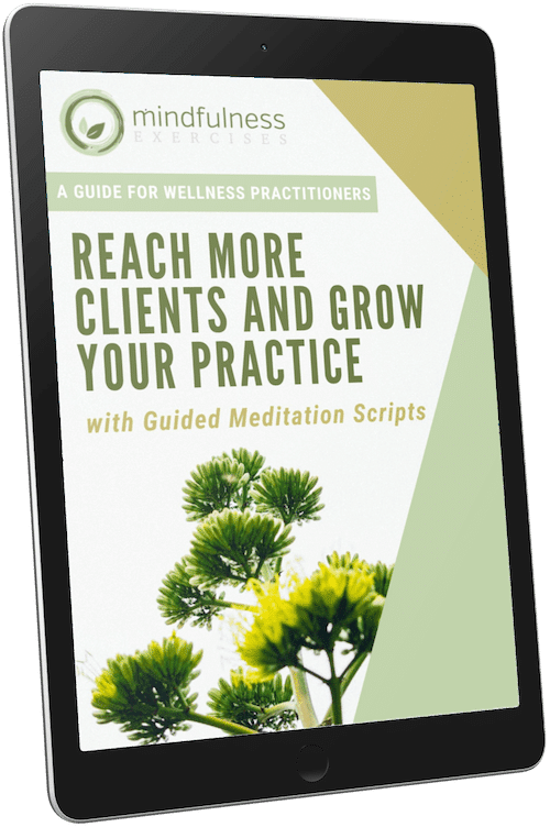 A Guide for Wellness Practitioners — Guide For Wellness Practitioners Ebook