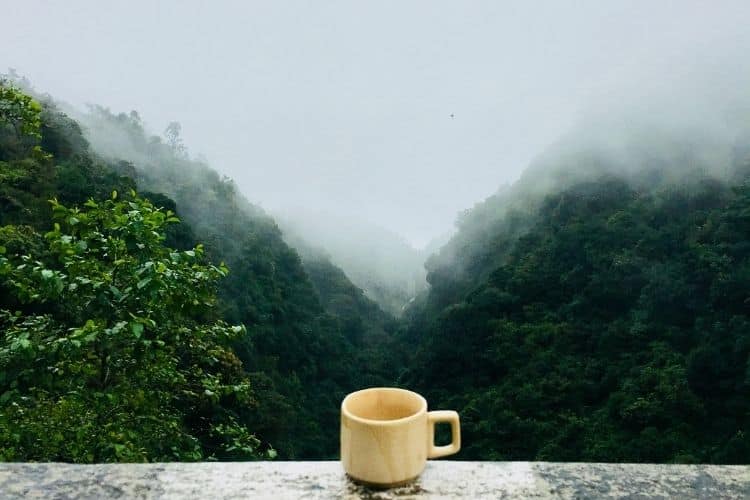 Guided Morning Meditation Tutorial