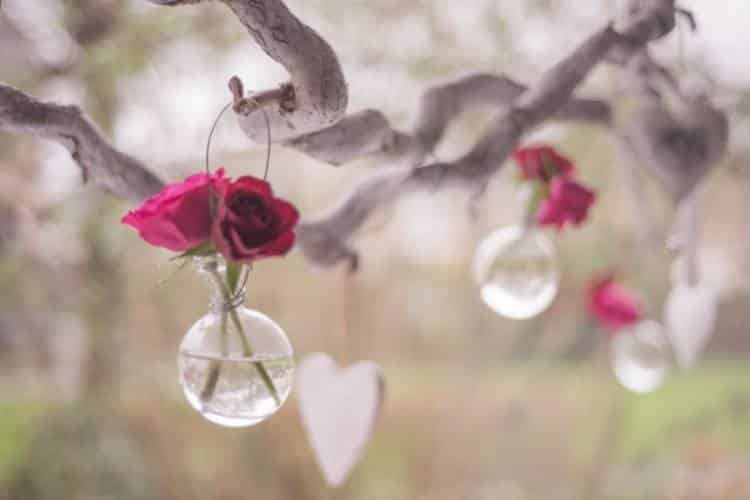 Notice self-judgment with caring curiosity