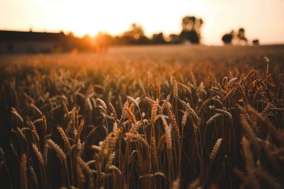 A Guided Meditation for the Summer Solstice A Guided Meditation for the Summer Solstice