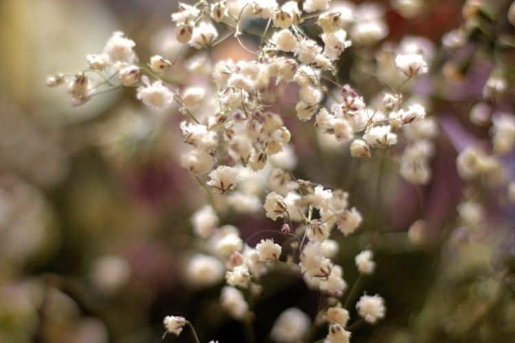 Mindfulness of Breathing 10 Tips for Teaching Mindfulness of Breathing Practices