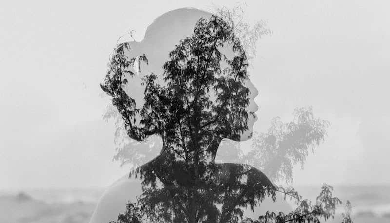 Embracing the Transformative Power of Self-Compassion — The Power Of Self Compassion
