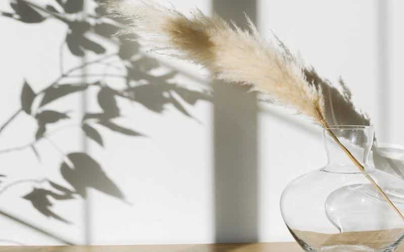 Embracing the Transformative Power of Self-Compassion — When Self Love Feels Too Difficult