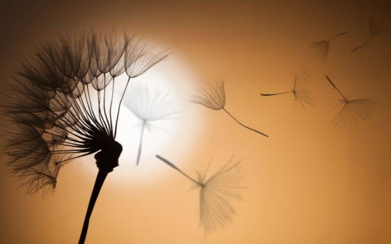 Mindfulness Quotes About Calm Mindfulness Quotes About Calm