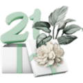 21 learn more bonus materials