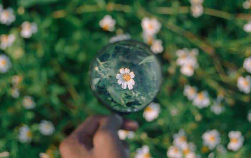 Why Daily Meditation Is Important for Your Mental Health — Improving Focus And Concentration