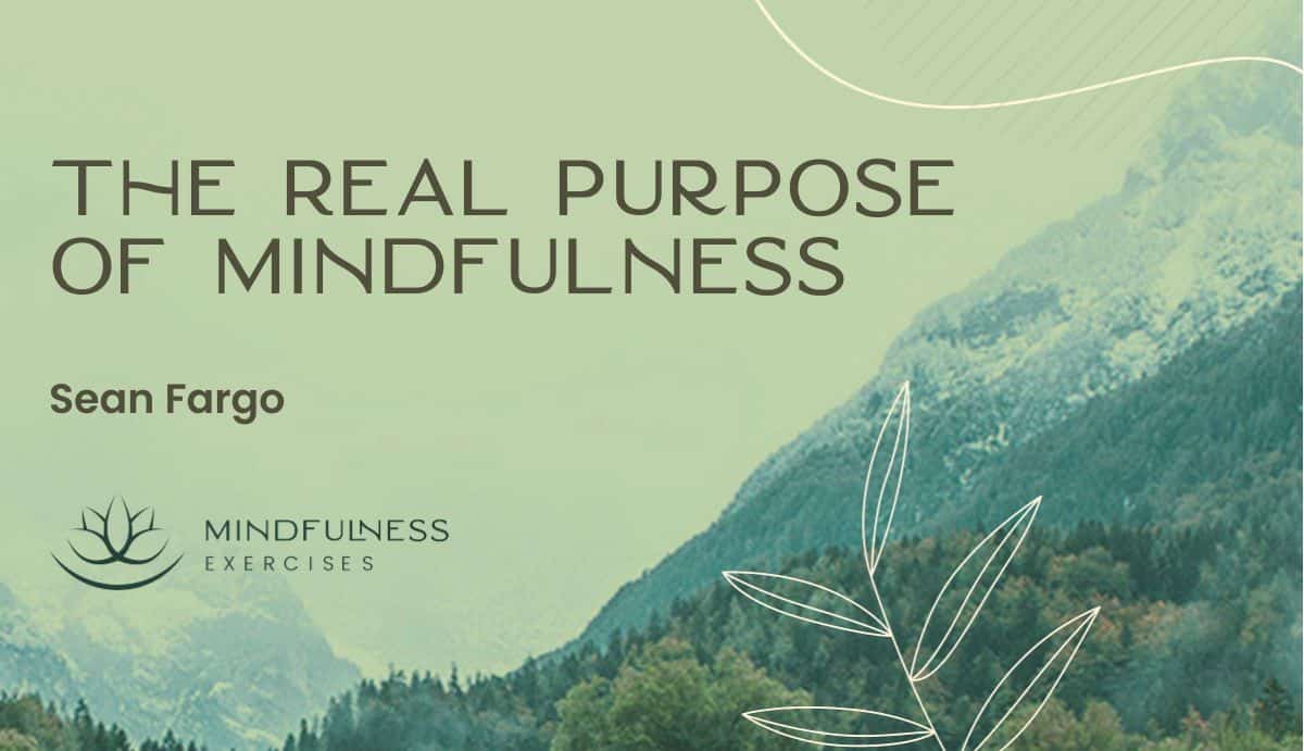 The Real Purpose of Mindfulness The Real Purpose of Mindfulness