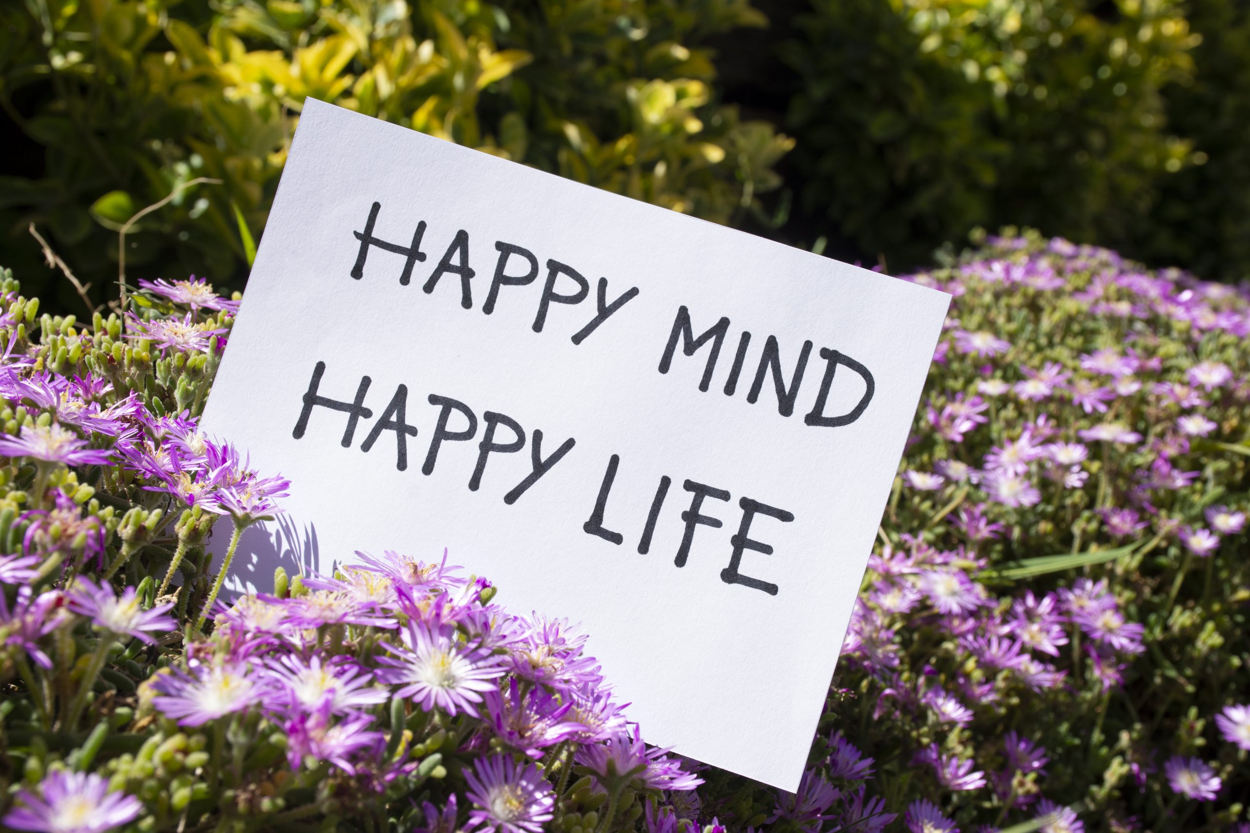 230 Script Affirmations vs Mindfulness: How They Complement Each Other