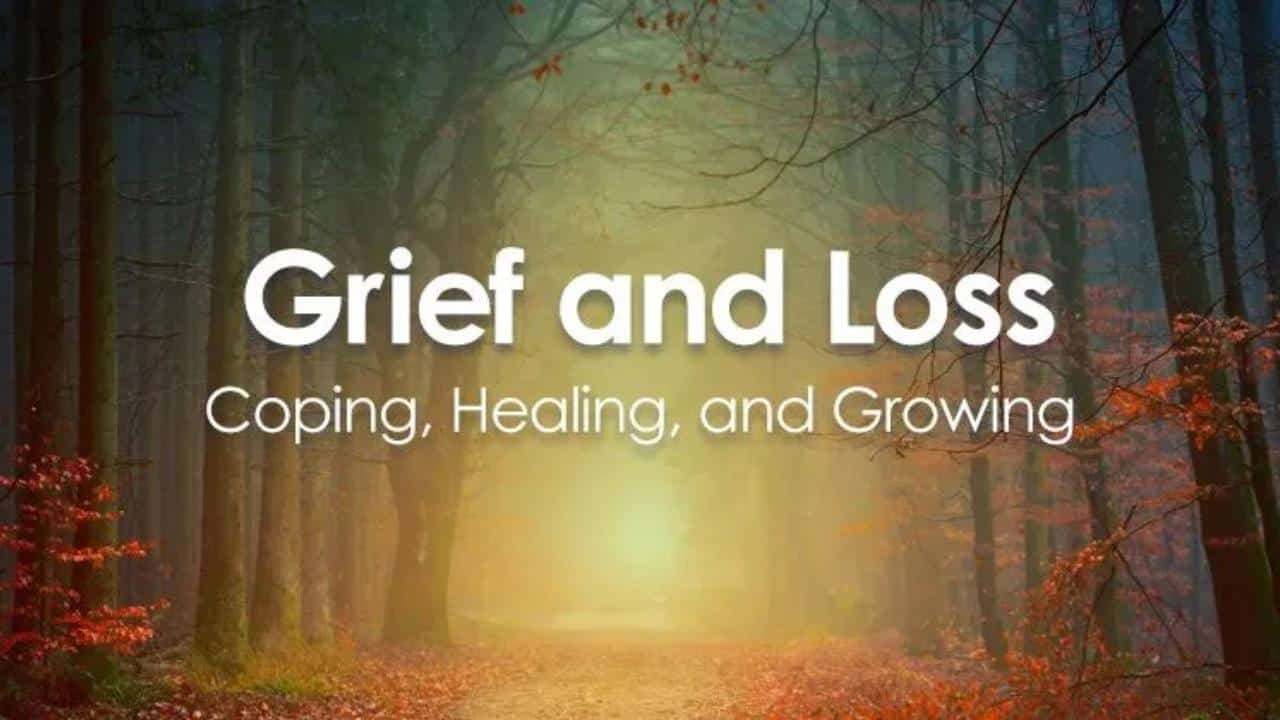 Grief and Loss Self-Compassion Myths β A Mindful Conversation with Dr. Dan Siegel β Grief And Loss
