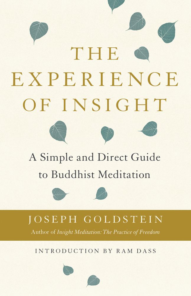 From Silence To Seeing: Joseph Goldstein’s Training For The Mind — The Experience Of Insight