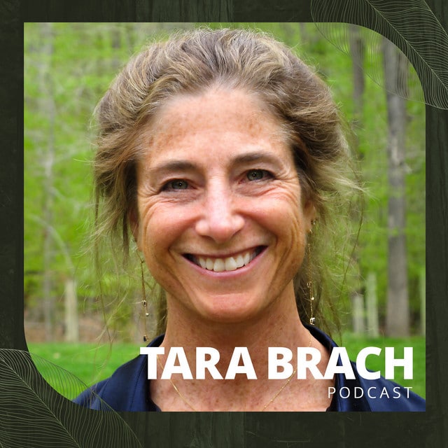 Tara Brach podcast Tara Brach podcast cover