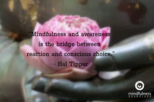 Mindfulness Quote and Image 167