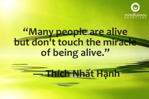 Mindfulness Quote and Image 2