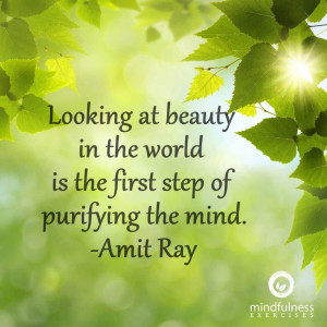 Mindfulness Quote and Image 29