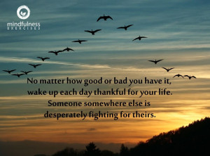 Mindfulness Quote and Image 48