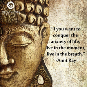 Mindfulness Quote and Image 51