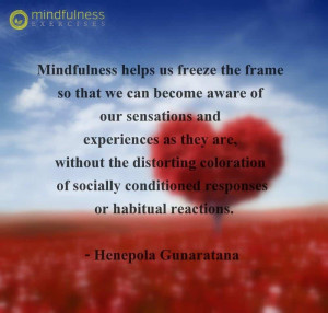 Mindfulness Quote and Image 54